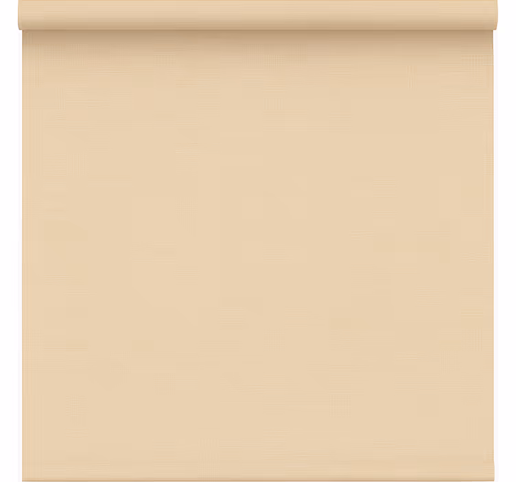 Kantoor rolgordijn eenvoudig beige doorzichtig - TenStickers