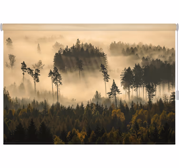 Rolgordijn bomen etherische ochtendnevel - TenStickers