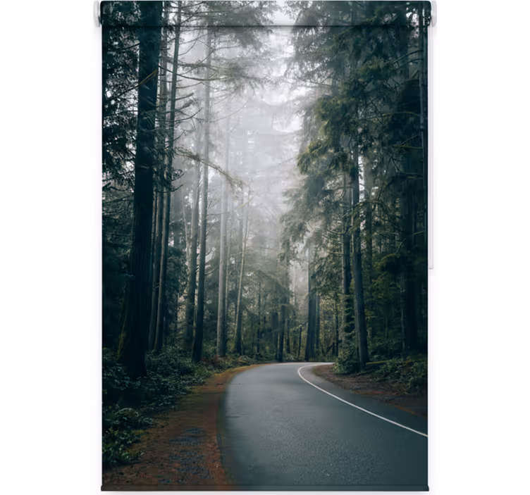 Rolgordijn bomen foggy pine road - TenStickers