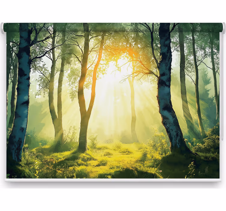 Rolgordijn bomen zonovergoten berk muurdecoratie - TenStickers