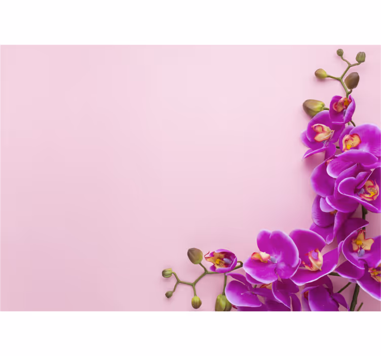 Keuken rolgordijn roze achtergrond met orchidee - TenStickers