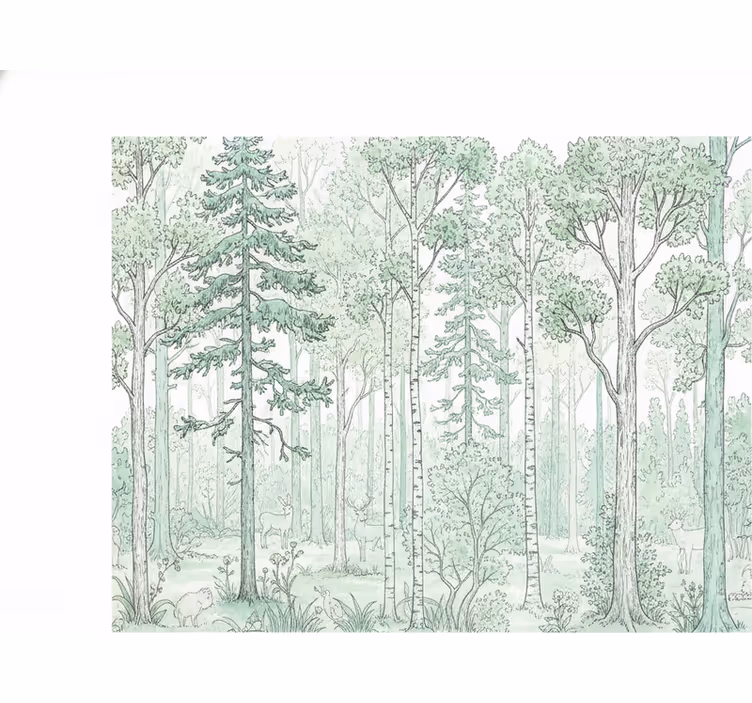 Wit rolgordijn mint houten schets - TenStickers