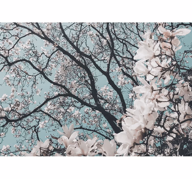 Rolgordijn woonkamer elegant stijl japanse kersenbloesem - TenStickers