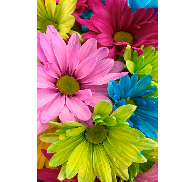 Rolgordijn woonkamer kleurrijke bloemen - TenStickers