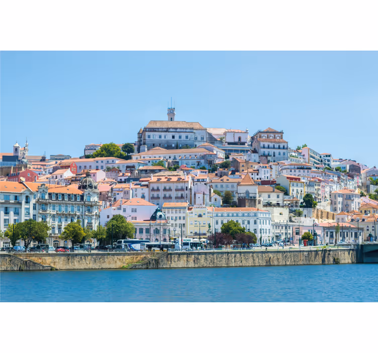 Rolgordijn woonkamer coimbra - TenStickers
