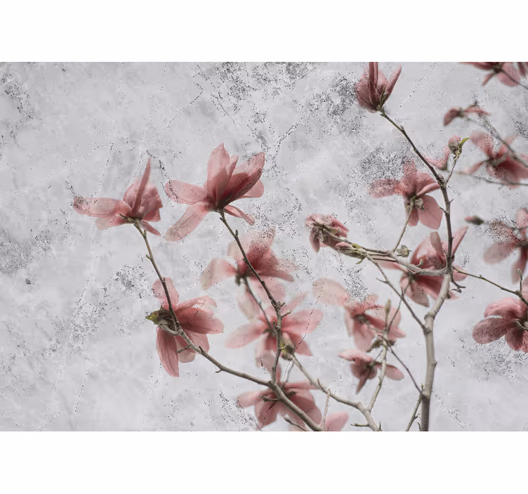 Rolgordijn woonkamer elegant glamour stijl magnolia design - TenStickers