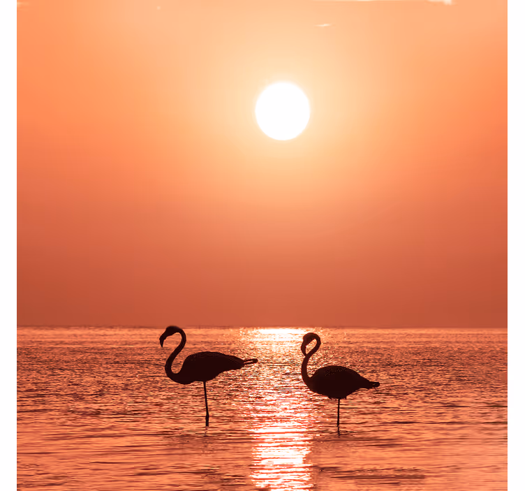 Rolgordijn woonkamer mooie flamingo met zonsondergang - TenStickers