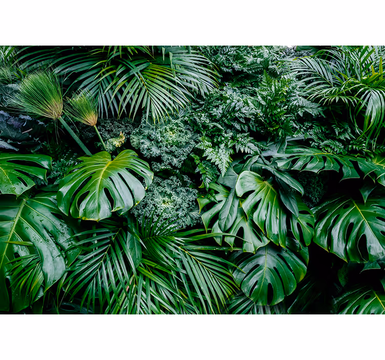 Rolgordijn groen rainy jungle - TenStickers