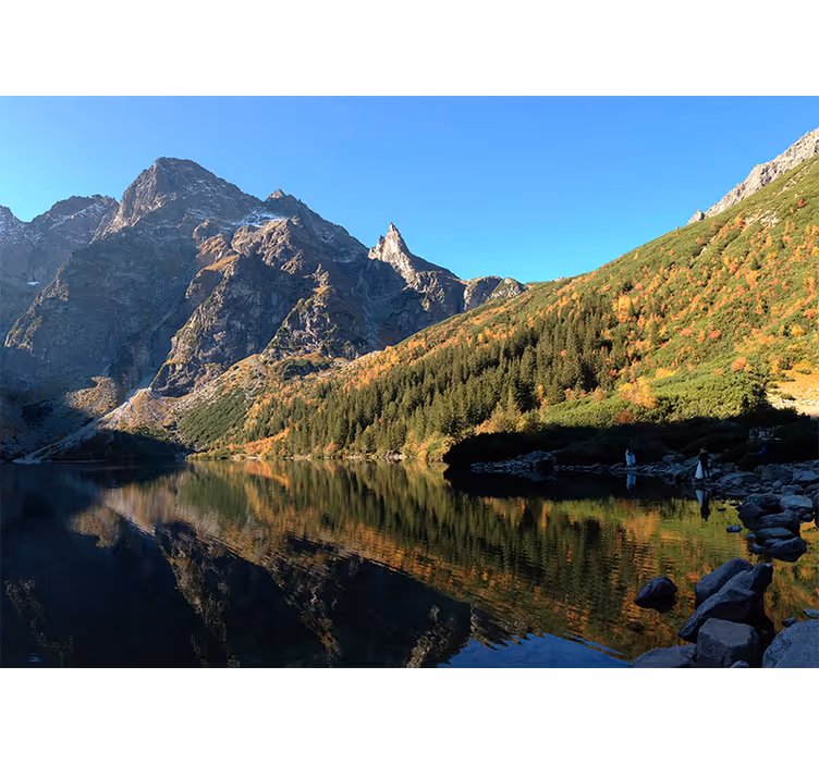 Rolgordijn groen morskie oko in de lente - TenStickers