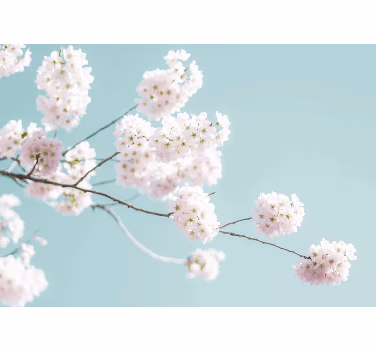 Rolgordijn woonkamer elegant en vrouwelijk bloemenpatroon - TenStickers