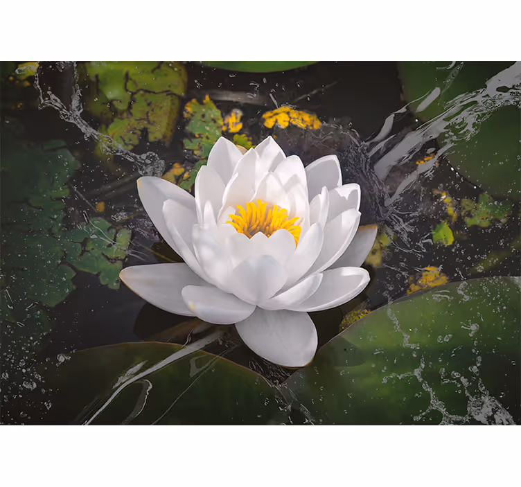 Rolgordijn woonkamer witte en gele lotus - TenStickers