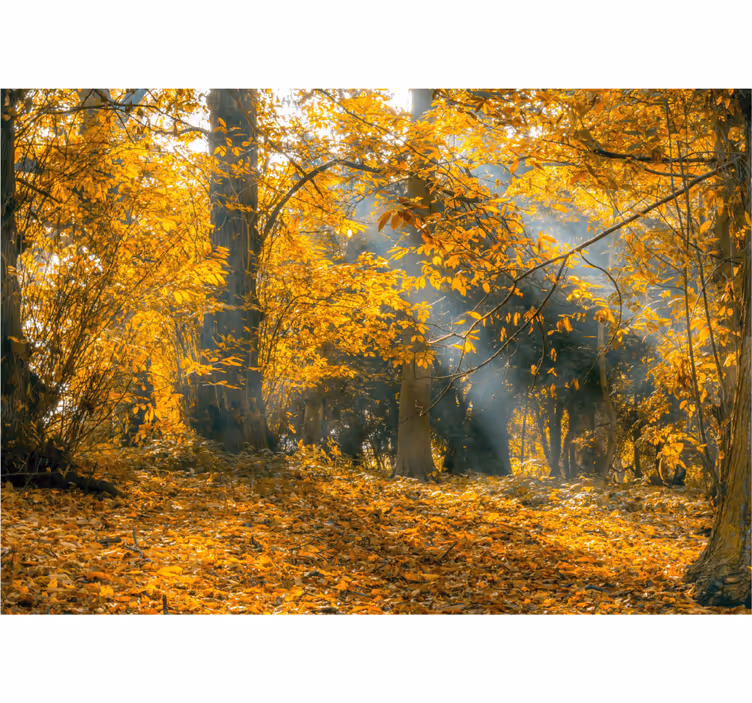 Rolgordijn woonkamer gouden herfst - TenStickers