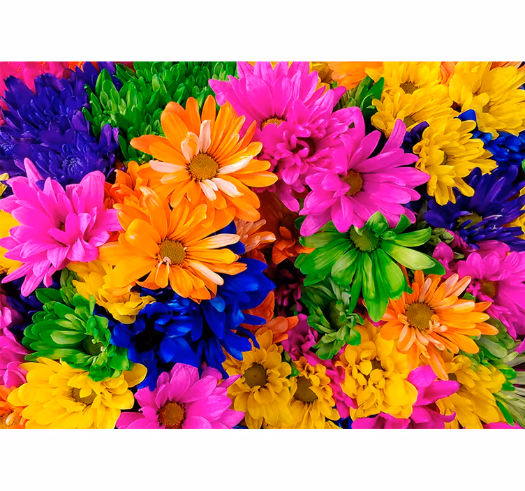 Rolgordijn woonkamer kleurrijke chrysant - TenStickers