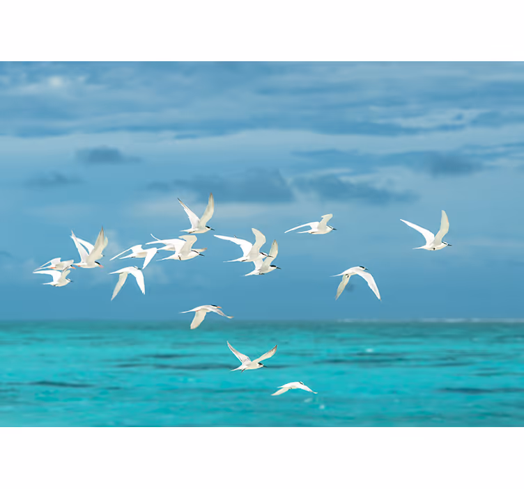 Rolgordijn woonkamer vogels in de lucht - TenStickers