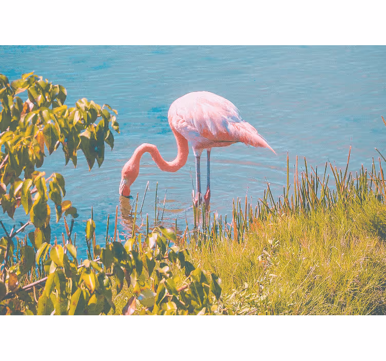 Rolgordijn woonkamer mooie flamingo bij het water - TenStickers