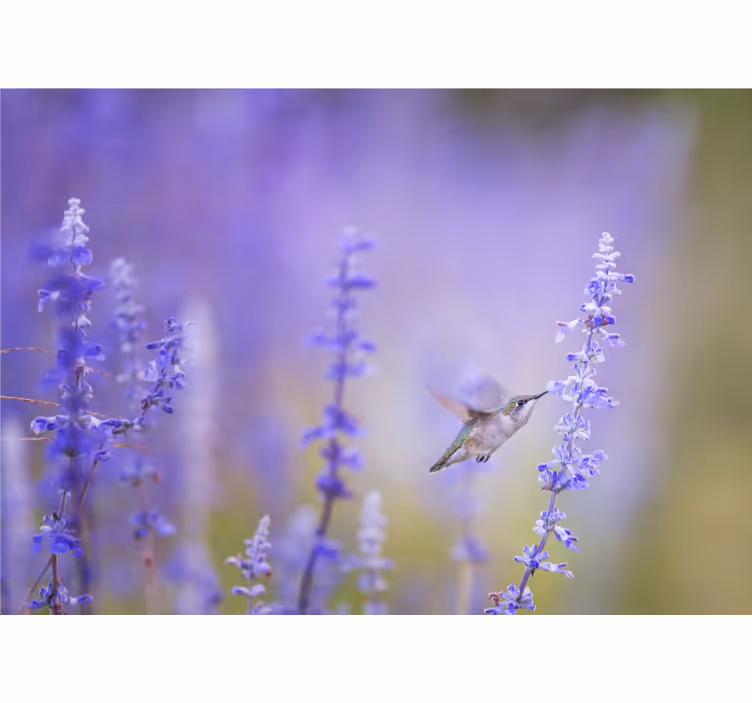 Rolgordijn woonkamer bloemen met vogel - TenStickers