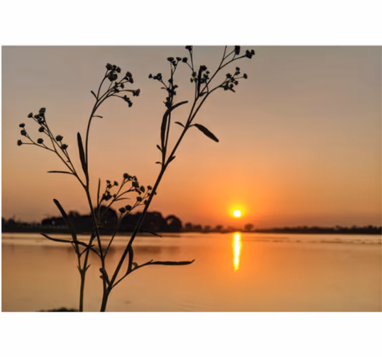 Rolgordijn woonkamer zonsondergang aan het meer - TenStickers