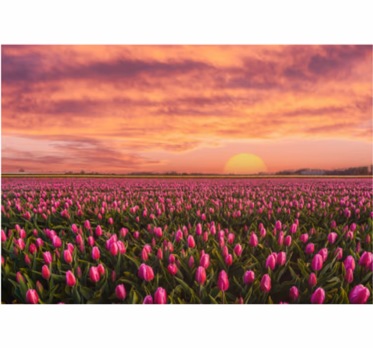 Rolgordijn woonkamer sunrise en tulpen - TenStickers