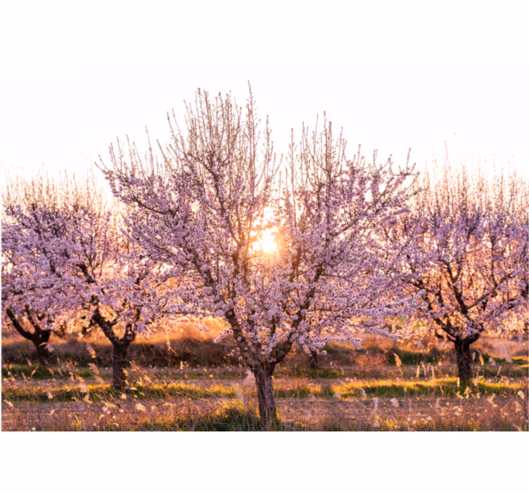 Rolgordijn woonkamer roze landschap met bloemen - TenStickers