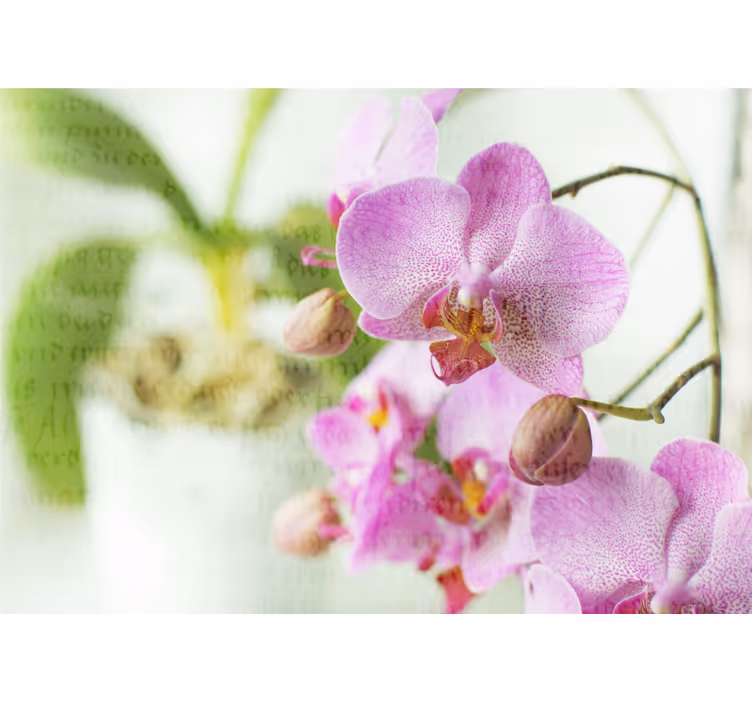 Rolgordijn woonkamer orchid met tekst - TenStickers