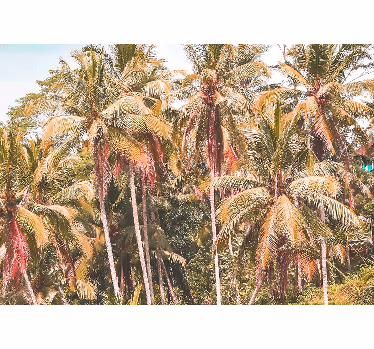 Rolgordijn woonkamer groene palm in de jungle - TenStickers
