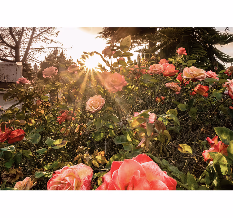 Rolgordijn woonkamer cottagecore bloemen avond - TenStickers