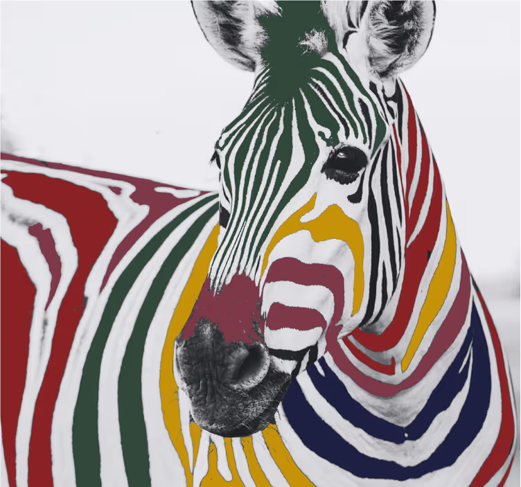 Rolgordijn woonkamer kleurrijke zebra schilderkunst - TenStickers
