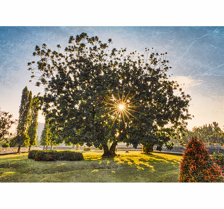 Rolgordijn woonkamer zonnig zomer groen park - TenStickers