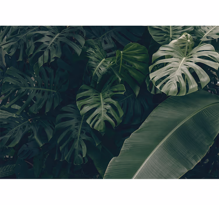 Rolgordijn woonkamer prachtige groene jungle - TenStickers