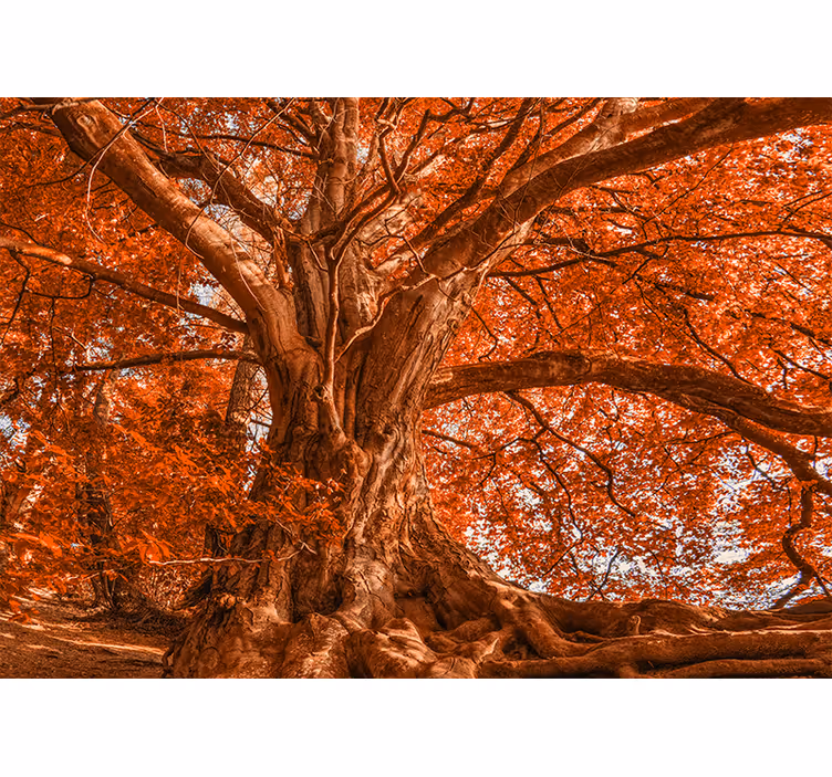 Rolgordijn woonkamer grote mooie herfstboom - TenStickers