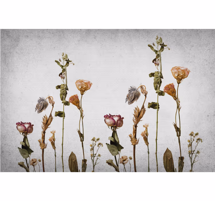 Rolgordijn woonkamer scandinavische stijl droge planten - TenStickers
