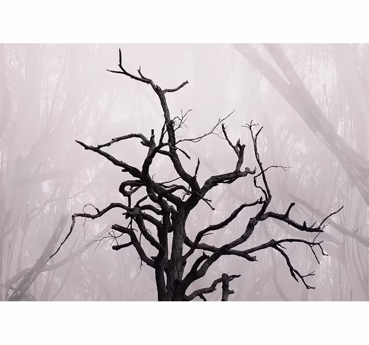 Rolgordijn slaapkamer natuurlijke takken in mist - TenStickers