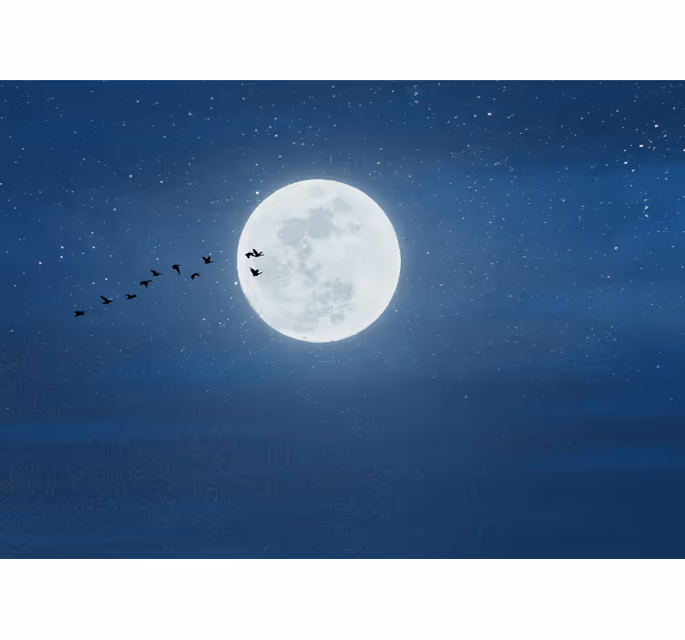Rolgordijn woonkamer volle maan en lucht - TenStickers