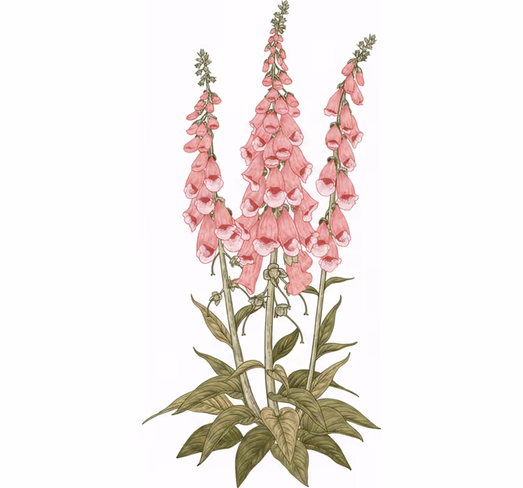 Rolgordijn woonkamer met roze bloemen - TenStickers