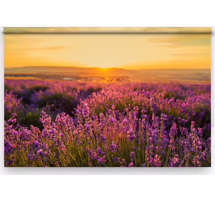 Rolgordijn slaapkamer panoramisch provence - TenStickers