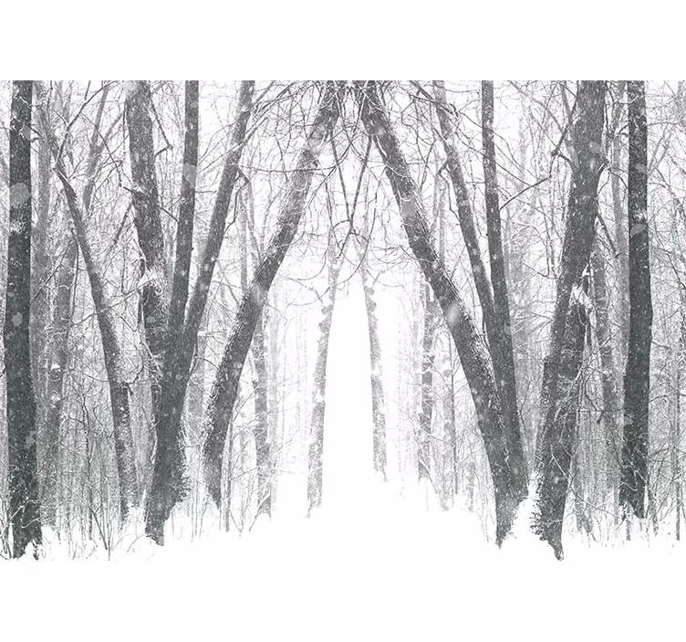 Rolgordijn slaapkamer winterbomen in het bos - TenStickers