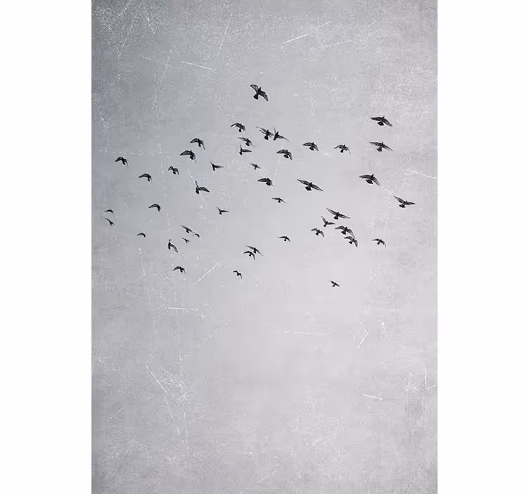 Rolgordijn slaapkamer vogels in de lucht - TenStickers