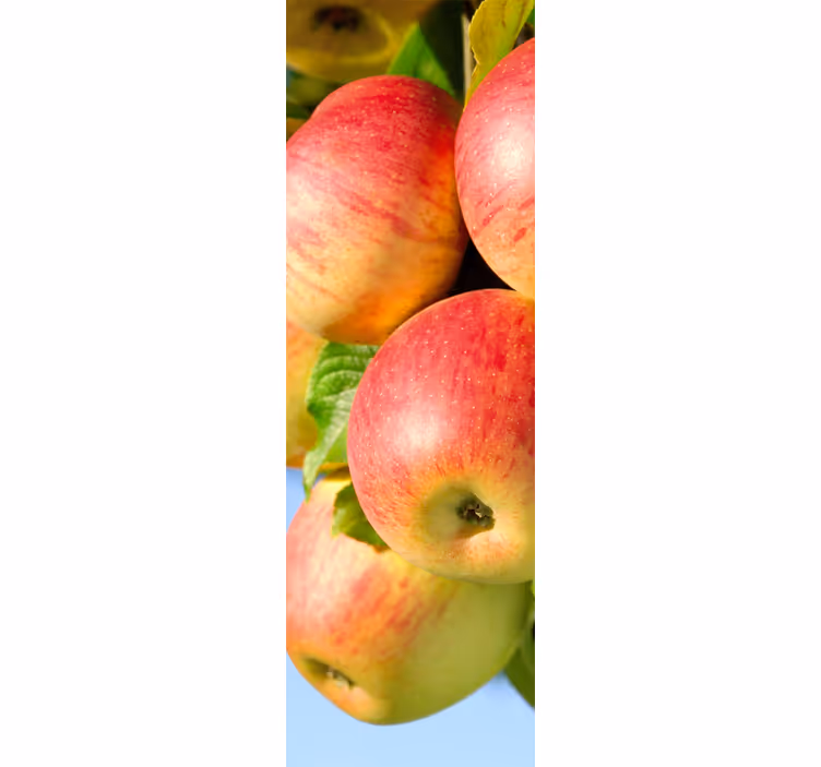 Keuken rolgordijn decoratief met appels in boom - TenStickers