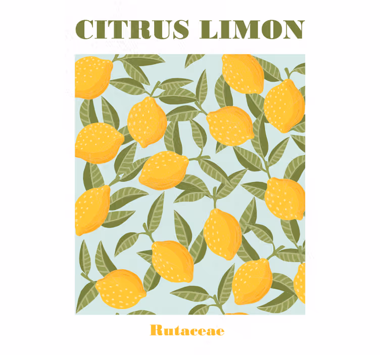 Keuken rolgordijn lemon fruit - TenStickers