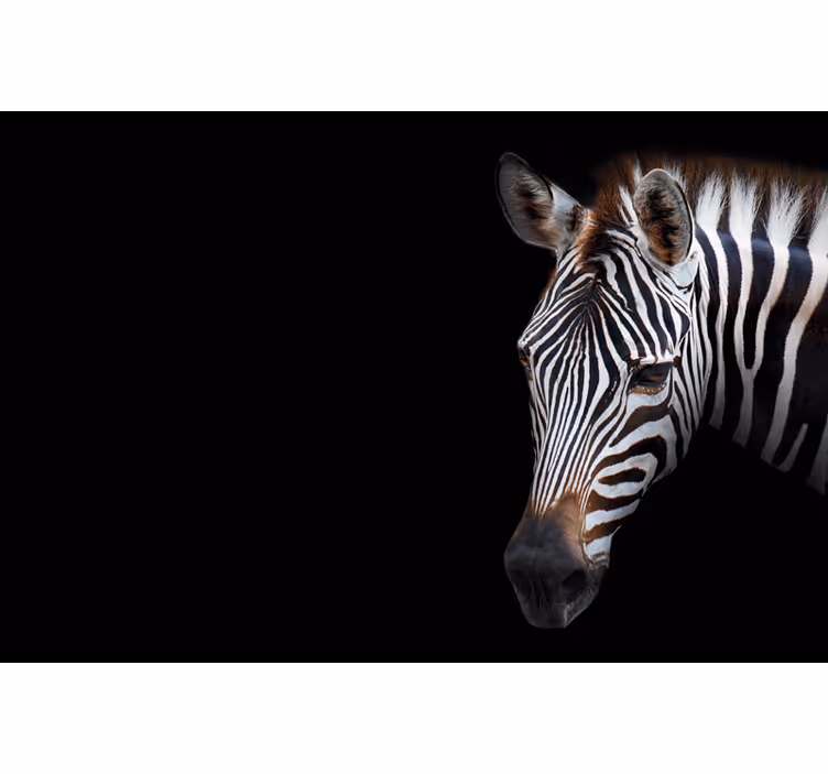Rolgordijn zwart zebra afbeelding - TenStickers