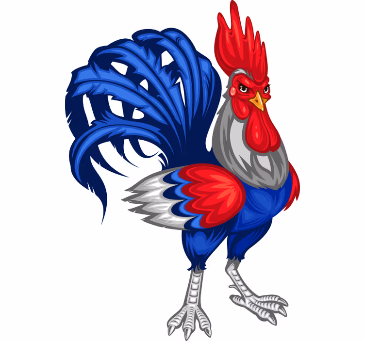 Rolgordijn tienerkamer franse haan decoratie - TenStickers