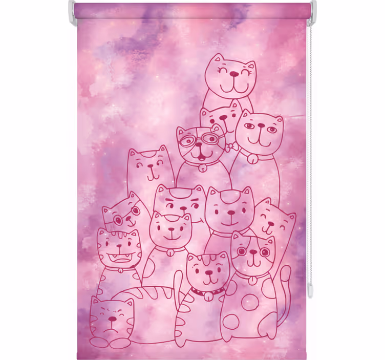 Rolgordijn tienerkamer galaxy miauw - TenStickers