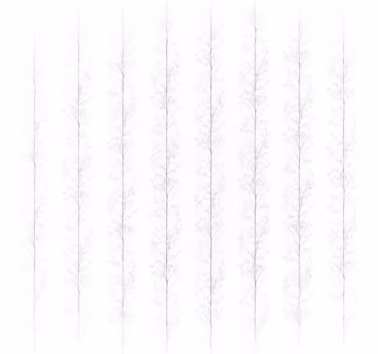 Wit rolgordijn screen trees - TenStickers