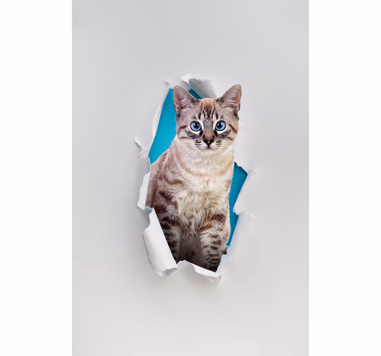 Meer dieren rolgordijnen Kat - TenStickers