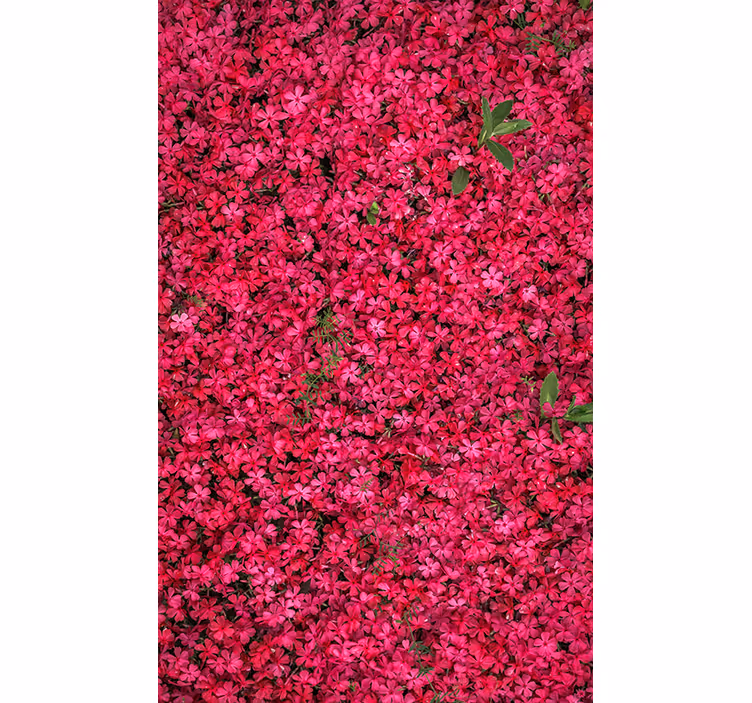 Levendige overvloed rolgordijn bloemen en planten - TenStickers