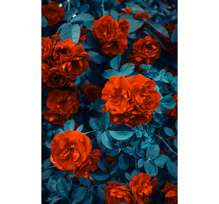 Levendige bloeiende rozen rolgordijn bloemen en planten - TenStickers