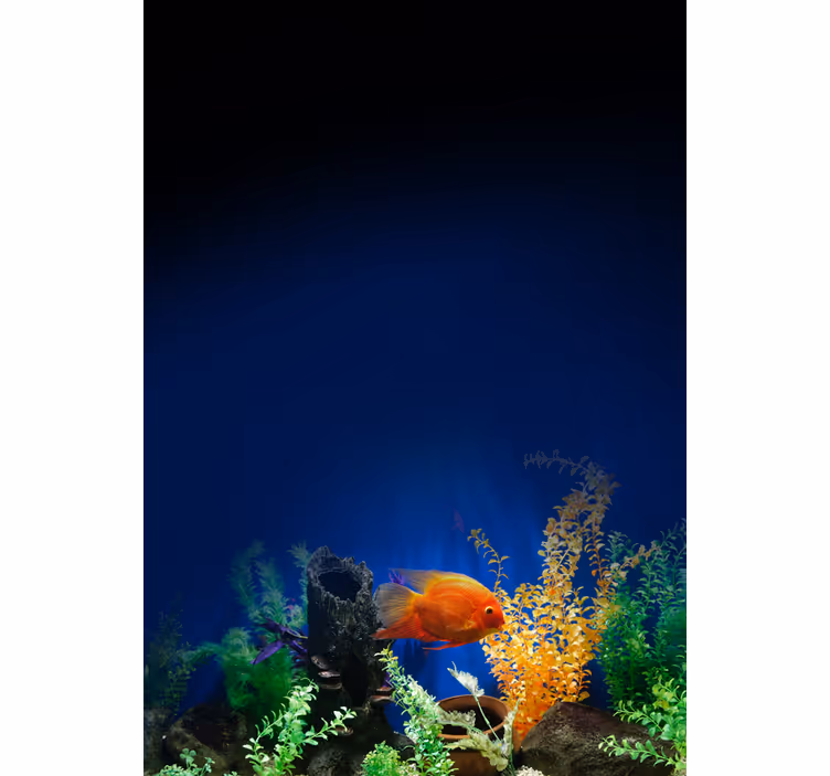 Meer dieren rolgordijnen Aquarium leven - TenStickers