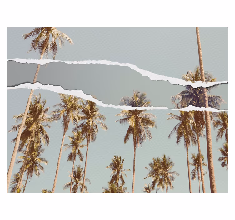 Palm zomer ontwerp rolgordijn bomen - TenStickers