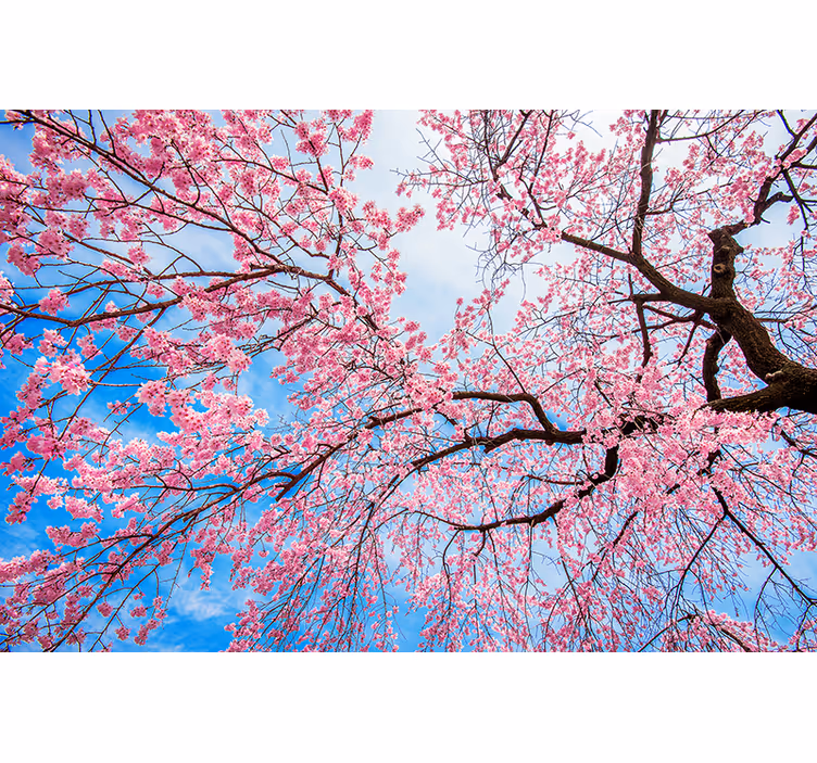 Sakura-ledemaat rolgordijn meer bloemen en planten - TenStickers