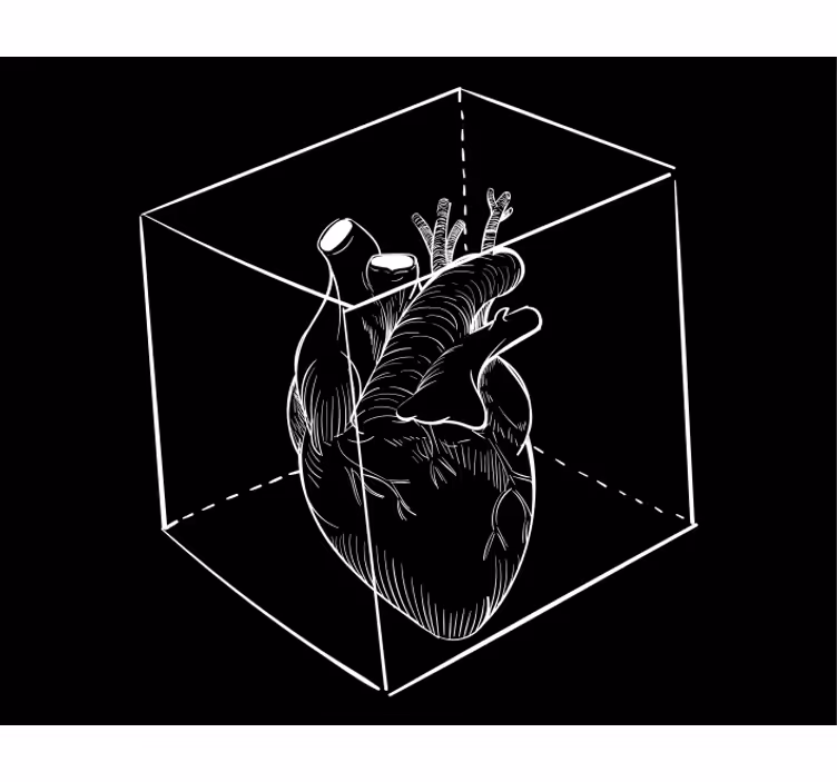 Hart anatomie illustratie rolgordijn grappig - TenStickers